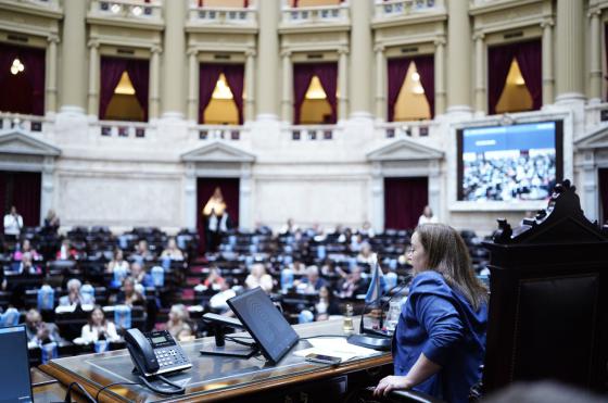 La presidenta de la Cmara de Diputados Cecilia Moreau