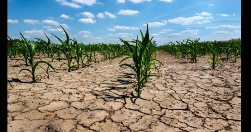 La sequía impacta con mucha fuerza en la provincia