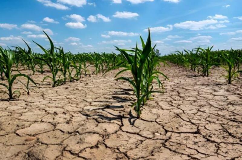 La sequía impacta con mucha fuerza en la provincia