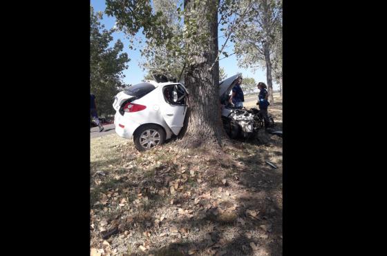 El automóvil impactó contra un �rbol y la jovencita falleció de manera instant�nea