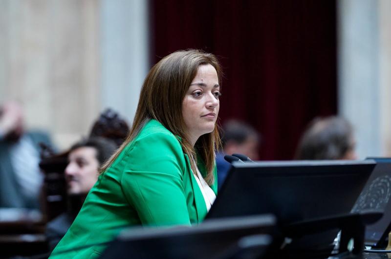 La presidenta de la C�mara de Diputados Cecilia Moreau celebró la aprobación de la ley Lucio