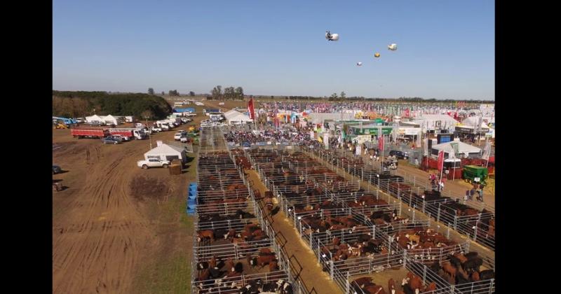 A un mes del inicio de Agroactiva est todo listo para dar inicio a una de las mayores muestras a campo del país