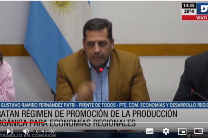 La Comisión de Economías y Desarrollo Regional es presidida por el diputado Ramiro Fern�ndez Patri