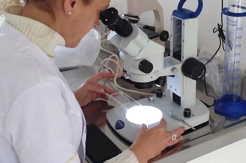 Es permanente el trabajo de laboratorio en Bromatología para controlar y evitar esta enfermedad