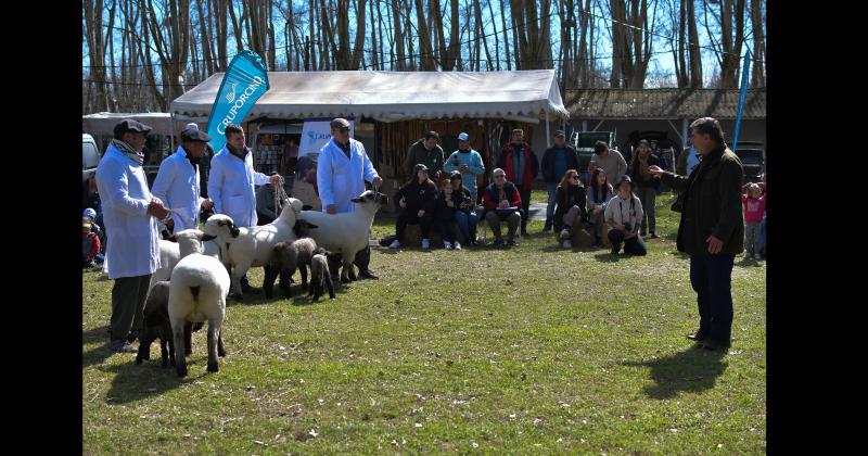 1) La Exposición Nacional de Ovinos Hampshire Down tiene un impresionante marco de público y expositores