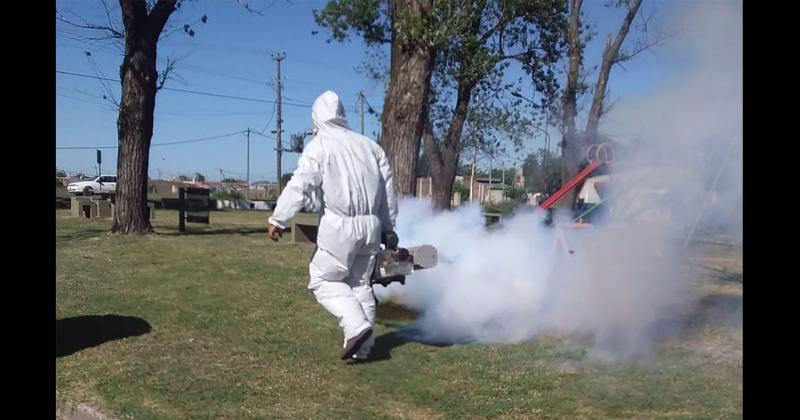 Estn insoportables los mosquitos y la fumigación es la herramienta para controlarlos en los espacios verdes