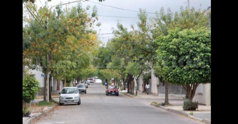 Buscarn nueva forestación a través de corredores verdes de la ciudad como avenidas paseo ribereño sendas y paseos peatonales Adems harn la limpieza y remoción mecnica del Clavel del Aire