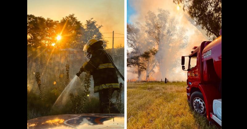 Desde el lunes hasta el viernes inclusive fueron 28 los incendios forestales que Bomberos sofocó