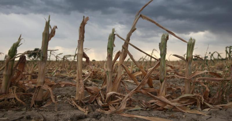 El Instituto Nacional de Tecnología Agropecuaria (INTA) advirtió sobre un probable regreso del fenómeno climtico La Niña en la segunda mitad del año tras el debilitamiento de El Niño