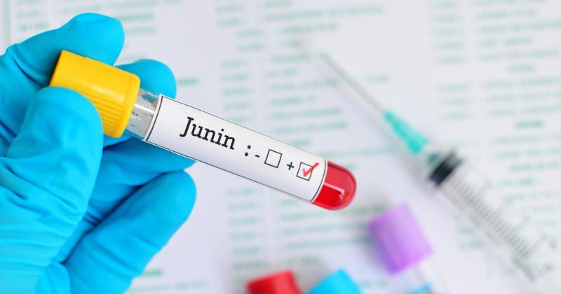  El Virus Junín produce la Fiebre Hemorrgica Argentina y se transmite a través de roedores infectados
