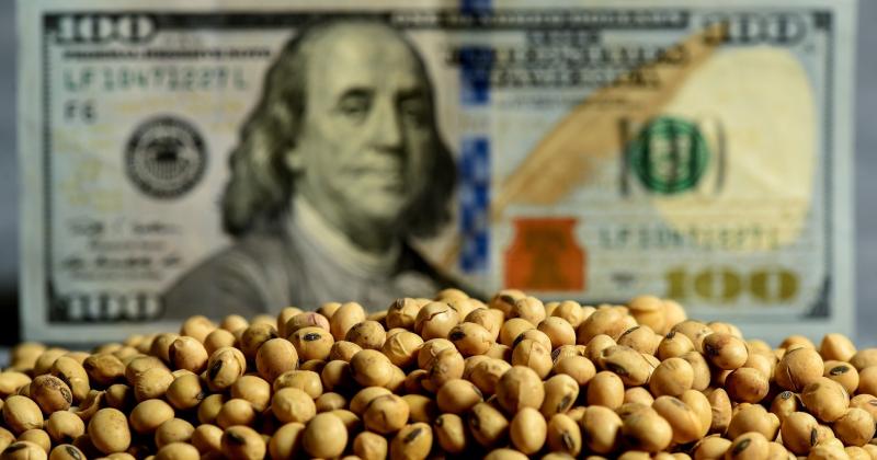 La clave es el dólar Blend que da mejor cotización a las exportaciones agrícolas