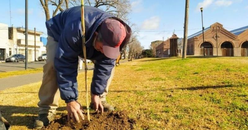 Est en marcha la reforestación de la ciudad un proyecto clave que busca poner en valor el arbolado público pergaminense