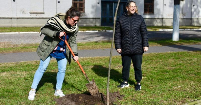 Los ejemplares aportados por als instituciones y plantados en conjunto fueron- 9 arce (Acer buergerianum) 6 jacarand 2 lapachos rosados 4 ceibos 2 tipas y 1 roble americano