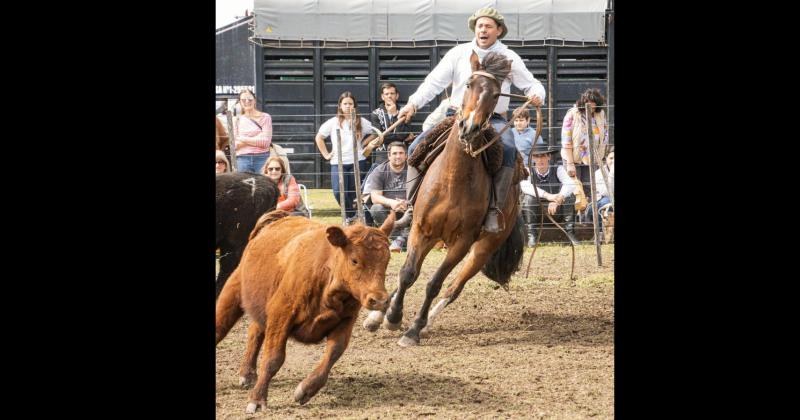 Las actividades de los caballos criollos uno de los principales atractivos