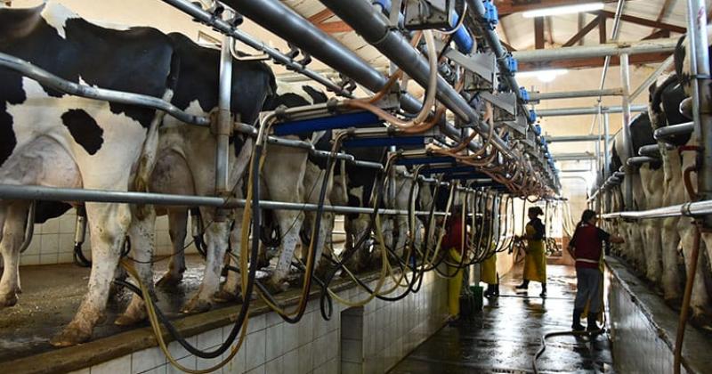 Los productores lecheros celebran las nuevas líneas de créditos del BICE