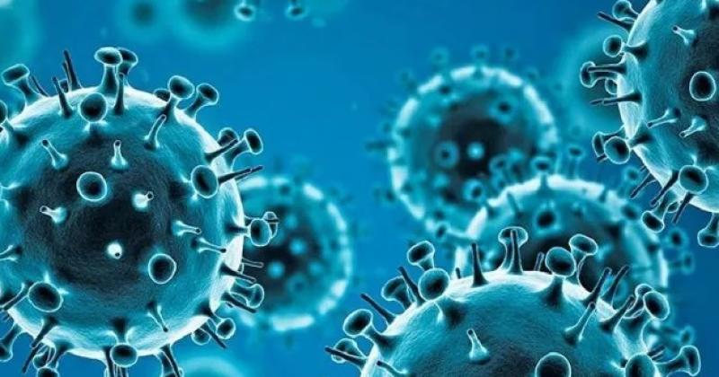 La joven sufrió shock séptico La gripe es una enfermedad infecciosa respiratoria causada por el virus influenza