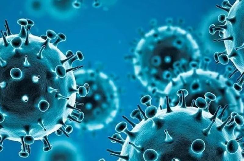 La joven sufrió shock séptico La gripe es una enfermedad infecciosa respiratoria causada por el virus influenza