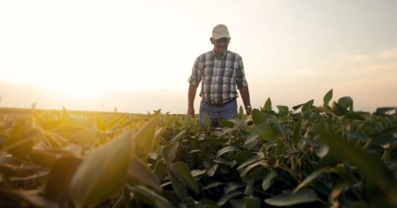 El corazón productivo del país elige a La Segunda como una opción 100-en-porciento- confiable