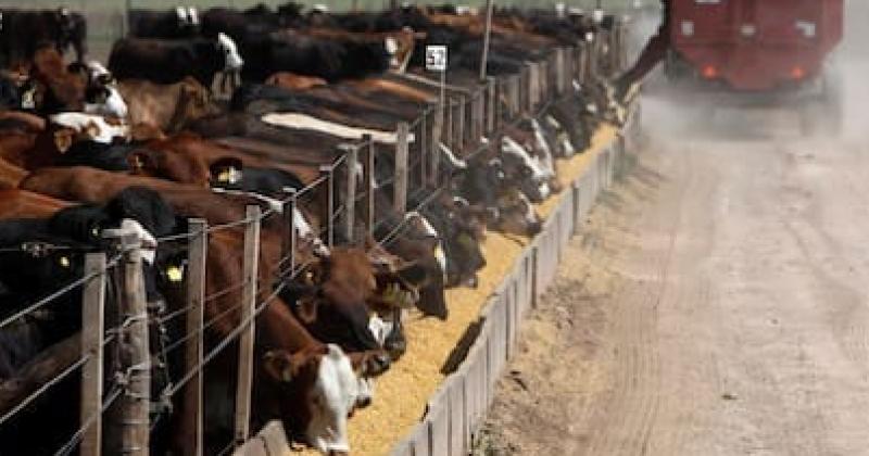 El ritmo de la reposición no alcanza a cubrir la salida de la hacienda terminada