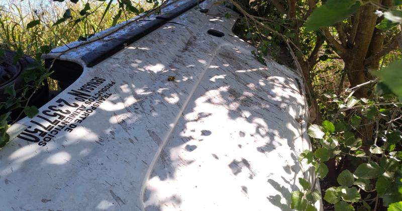 El vehículo quedó entre las plantas de un curso de agua