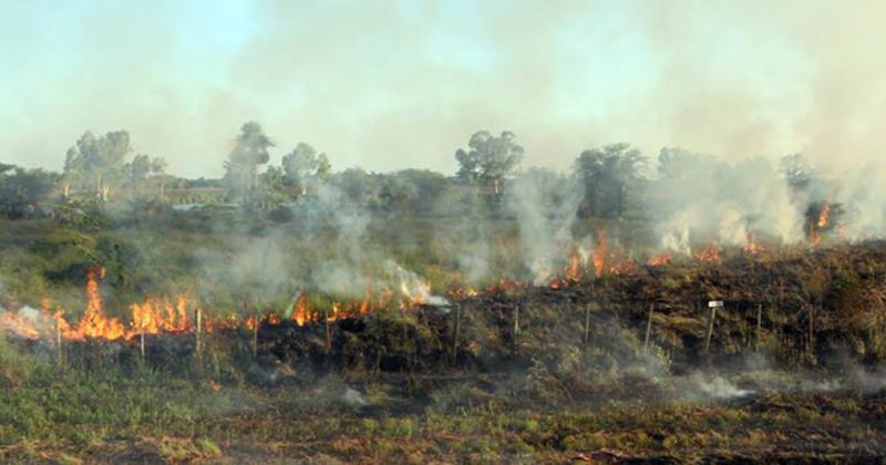 Los incendios son constantes en la ciudad y alrededores por lo que piden tomar mucha conciencia