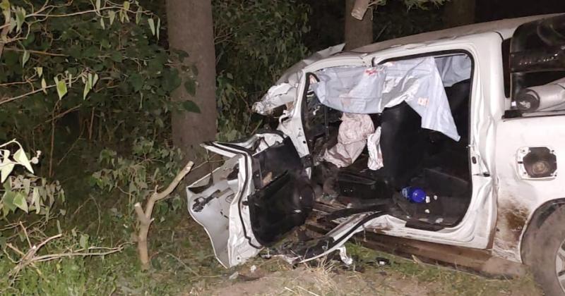 La camioneta siguió el recorrido fuera de control hasta un monte de la banquina e impactó con varios rboles