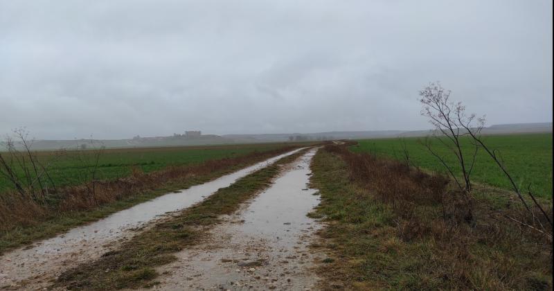 Las lluvias traen alivio para el campo