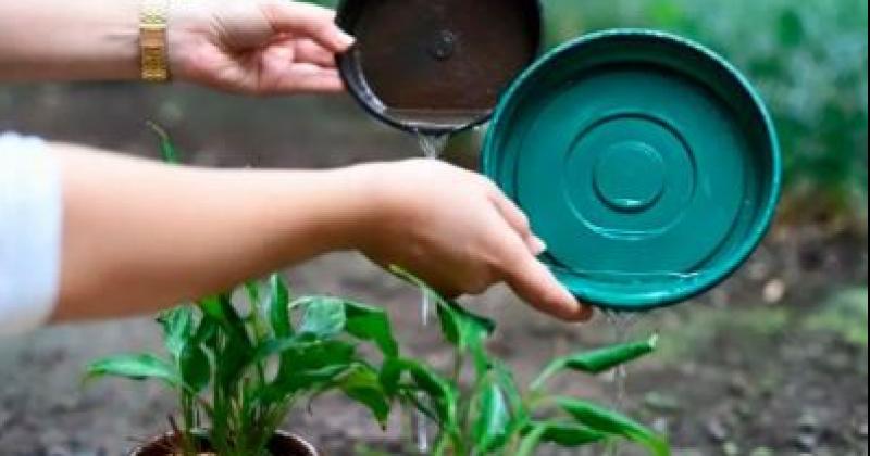 Tras las lluvias los vecinos deben  proceder a la descacharrización en sus patios