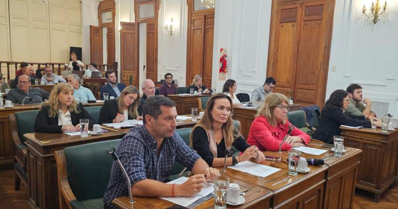 Durante la primera sesión ordinaria del 2025 ingresaron tres notas y diez expredientes por Presidencia doce expedientes del Departamento Ejecutivo diez proyectos de los concejales y tres despachos enviados por las comisiones internas